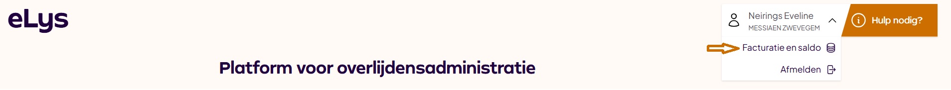 Facturatie en saldo vanuit toepassing.jpg